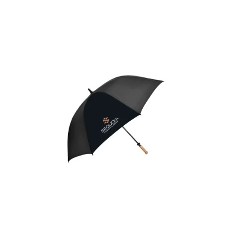 Umbrella - Storm 2