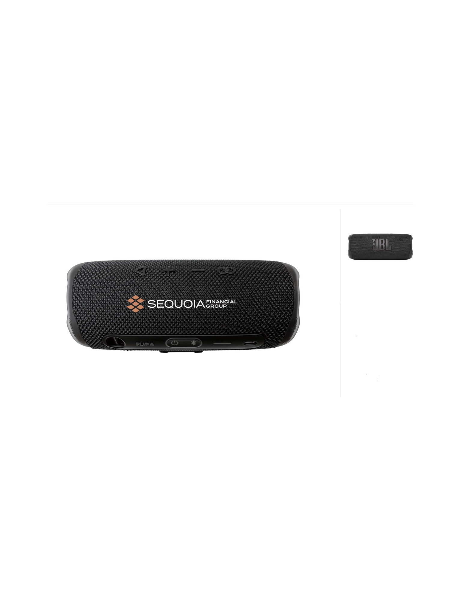 JBL Flip 6 Portable Waterproof Speaker (Decorated On Demand)