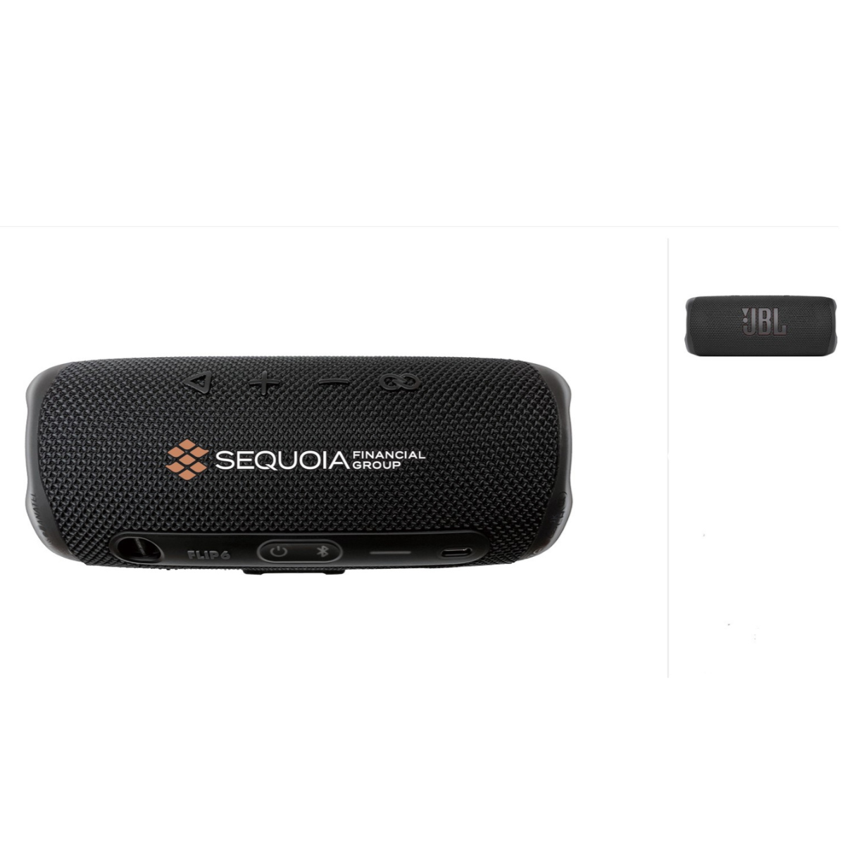 JBL Flip 6 Portable Waterproof Speaker (Decorated On Demand)